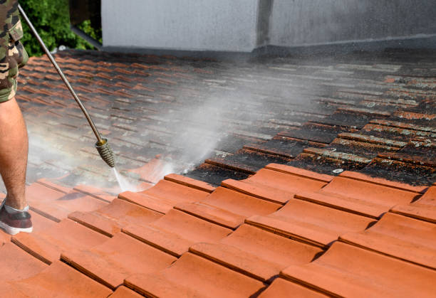 Best Roof Pressure Washing  in Higginsville, MO